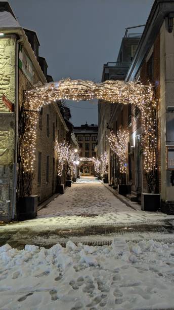 istock Snowy Saint-Amable Street (photo1) 1299186696