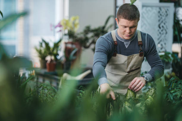 istock A young man examining and working with plants and flowers 1299188188