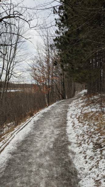 istock Snow-covered Bog-Mer-Blue Trail (p7) 1299188333