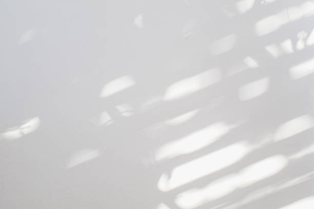 Natural shadow overlay on white texture background, for overlay on product presentation, backdrop and mockup, summer seasonal concept. Textures Light reflection from the window.