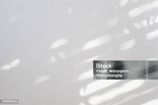 Natural Shadow Overlay On White Texture Background For Overlay On Product Presentation Backdrop And Mockup Summer Seasonal Concept Textures Light Reflection From The Window Stock Photo - Download Image Now