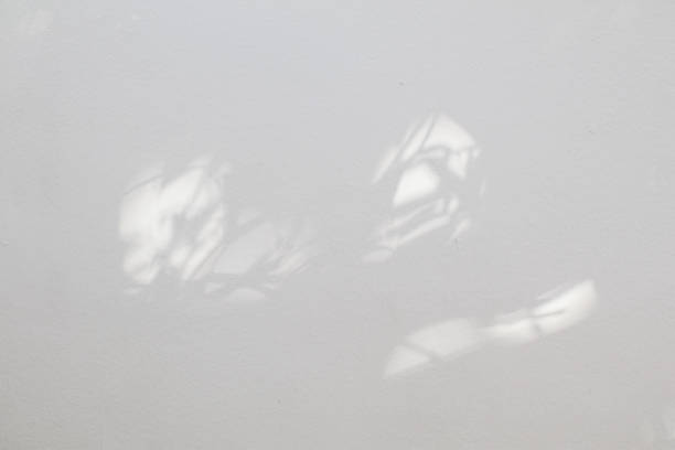 istock Natural shadow overlay on white texture background, for overlay on product presentation, backdrop and mockup, summer seasonal concept. Textures Light reflection from the window. 1299190239