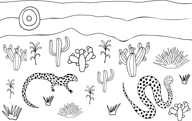 Coloring Page With Reptiles And Plants In Desert Stock Illustration -  Download Image Now - Desert Area, Doodle, Animal - iStock