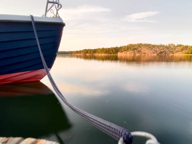Swedish nature