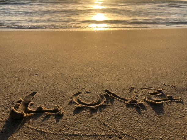 istock Sunset love in Venice Beach 1299197490