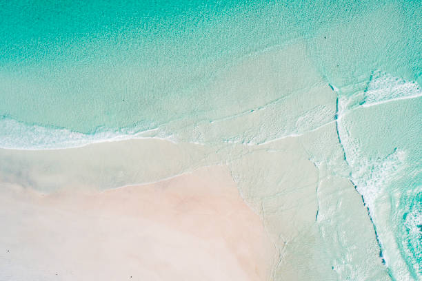 istock White sand beach with turquoise emerald ocean waves breaking. 1299197598