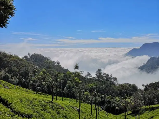 Coonoor is a hill station in the southern Indian state of Tamil Nadu. It’s known for its tea estates in the surrounding Nilgiri hills. Sim’s Park is a sprawling public garden with plants like rhododendrons, roses and eucalyptus trees. The steam Nilgiri Mountain Railway travels between the towns of Mettupalayam and Ooty via Coonoor. Dolphin’s Nose is a vantage point with views of the cascading Catherine Falls.