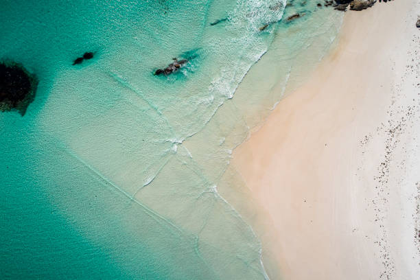 istock White sand beach with turquoise emerald ocean waves breaking. 1299198762
