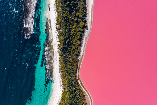 Bright pink lake with white sand shoreline and blue ocean. Multi coloured nature scene