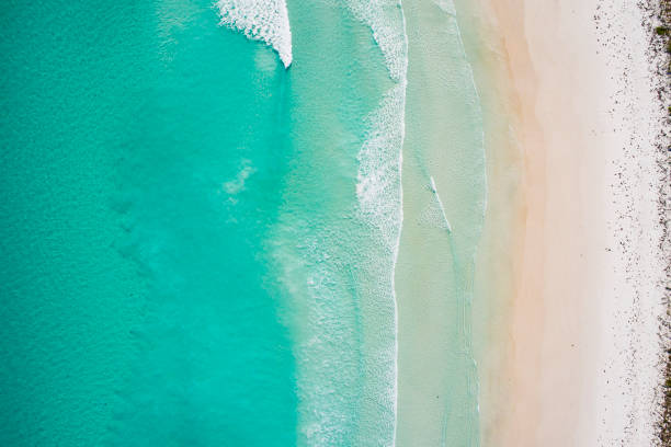 istock Clean ocean waves breaking on white sand beach with turquoise emerald coloured water 1299199604