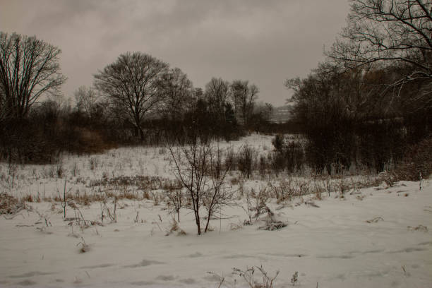 istock Hiking through a London ontario conservation area 1299201459