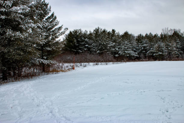 istock Winter hiking along a frozen lake in Canada 1299201466