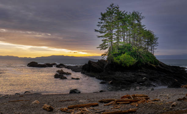 istock Sunset on a Vancouver Island beach 1299214007