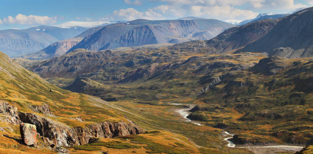 istock Dry Mongolian landscapes in the Altai 1299215752