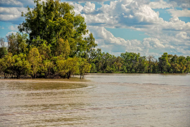 istock Condamine River Queenland 1299216707