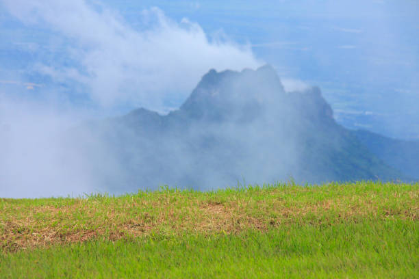 タイの秋の昼間に緑の草と雲が山頂を覆う - footpath wood horizon nature ストックフォトと画像