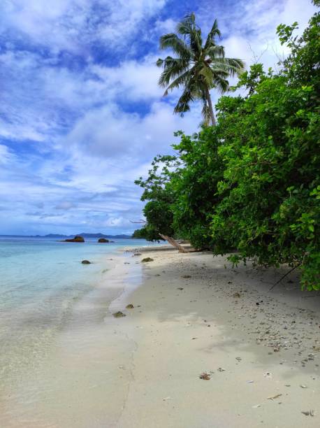 istock Beach with clear water and fine sand 1299219167