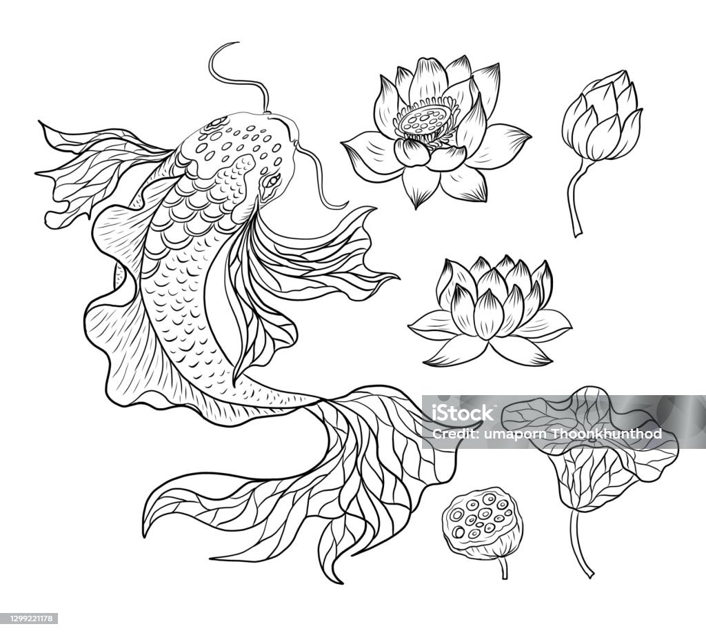 Beautiful Line Art Of Gold Fish Vector Illustration Stock Illustration -  Download Image Now - iStock