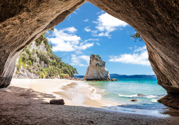 Cathedral Cove Cathedral Cove in New Zealand coromandel peninsula stock pictures, royalty-free photos & images
