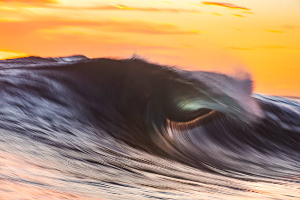 istock Cresting wave breaking in the golden afternoon light 1299224369