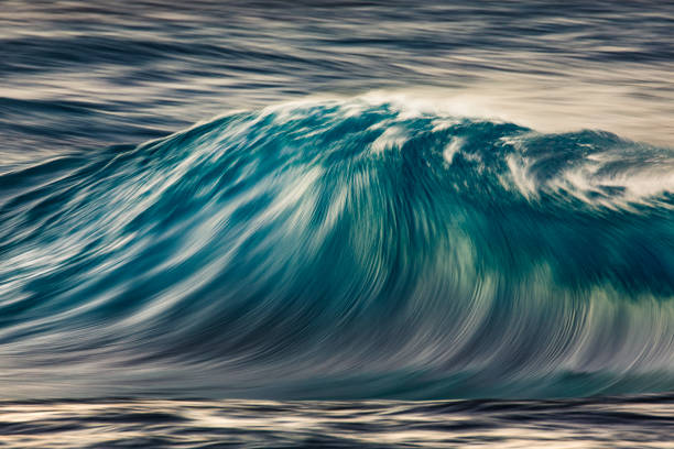 istock Cresting wave breaking with wind spray in the golden morning light 1299224516