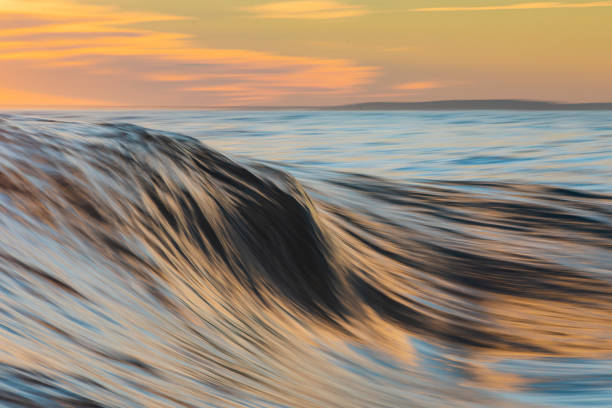 istock Cresting wave forming in the golden afternoon light 1299225157