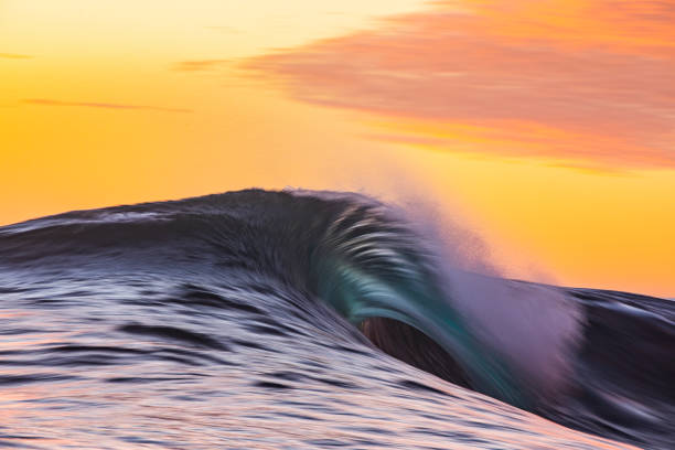 istock Cresting wave breaking in brilliant orange and golden morning light 1299225624