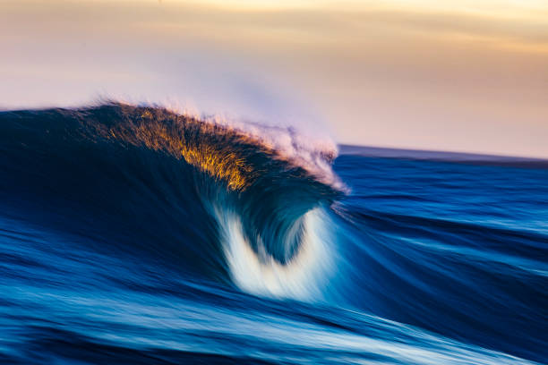 istock Cresting wave breaking in brilliant golden morning light 1299225731