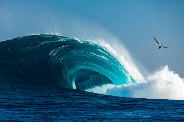 istock Large blue idyllic wave breaking in the open ocean on a sunny day 1299227492