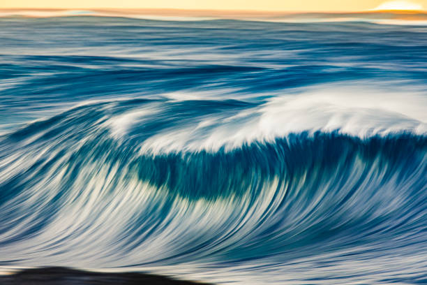 istock Cresting wave breaking with wind spray in the golden morning light 1299227613