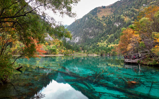 istock colorful lake in Jiuzhaigou park 1299227819
