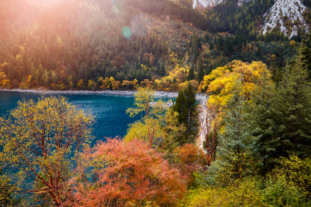 istock beautiful forest and lake in Jiuzhaigou park 1299227831