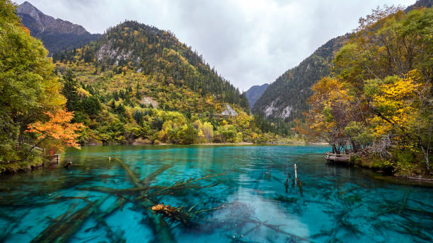 istock colorful lake in Jiuzhaigou park 1299228133