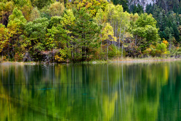 istock beautiful lake in Jiuzhaigou park 1299228193