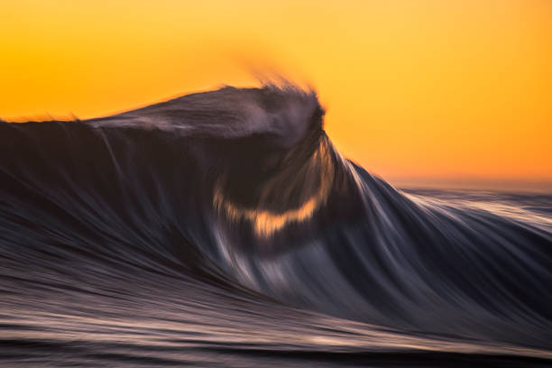 istock Cresting wave breaking in brilliant golden evening light 1299228222