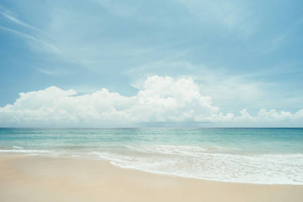 istock Beautiful tropical beach with blue sky and white clouds abstract texture background. 1299230357