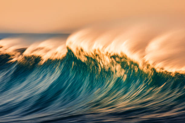 istock Cresting wave breaking with strong wind spray in the golden morning light 1299231725