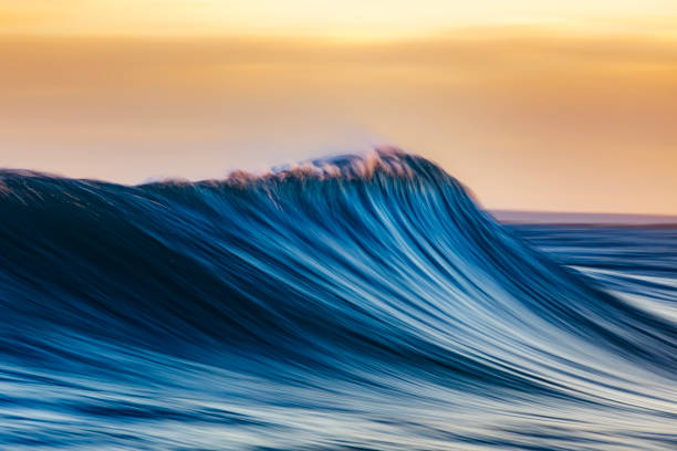 istock Cresting wave forming in brilliant golden morning light 1299231751