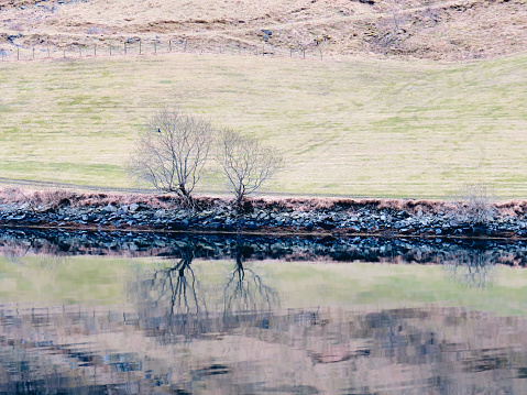 Trees in winter with reflection on the water surface