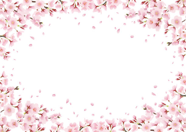 満開の桜の木、桜アーチ、風景イラスト装飾、フレーム、囲いの装飾(横長a3、a4比) - 桜吹雪点のイラスト素材／クリップアート素材／マンガ素材／アイコン素材