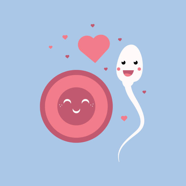 Funny Sperm Cell Stock Photos, Pictures & Royalty-Free Images - iStock Funny Sperm Cell Stock Photos, Pictures & Royalty-Free Images - iStock
