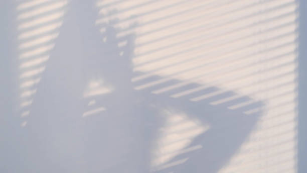 istock shadows on the wall from a window closed with blinds and a woman's silhouette. Blurry dark shadows moving on the wall 1299237564