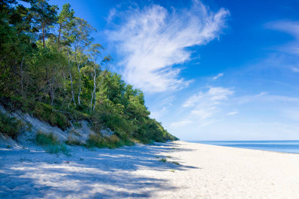 istock Vacations in Poland - Baltic seashore in Pobierowo 1299240198