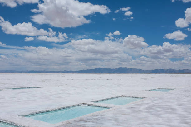 istock Salt flats in Argentina, Salar de Salinas Grandes, Salta 1299245663