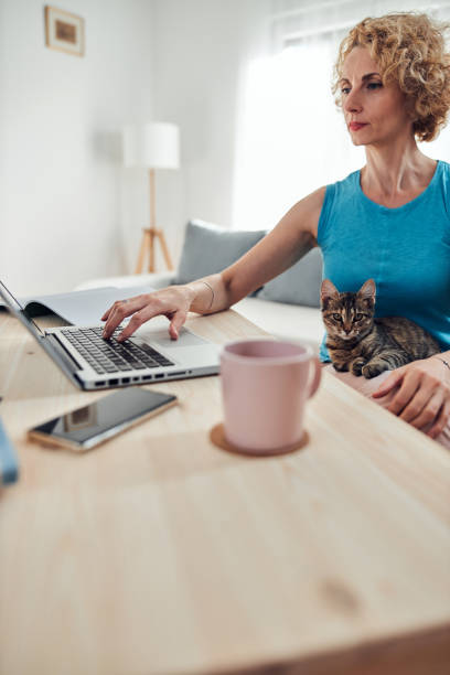 istock Woman working from home on a laptop / notebook with cat pet with her. 1299246233