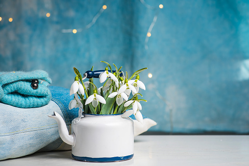 Snowdrop flowers arrangement in a watering can shaped vase on a wooden table against blue background as an announcement for upcoming spring season with copy space