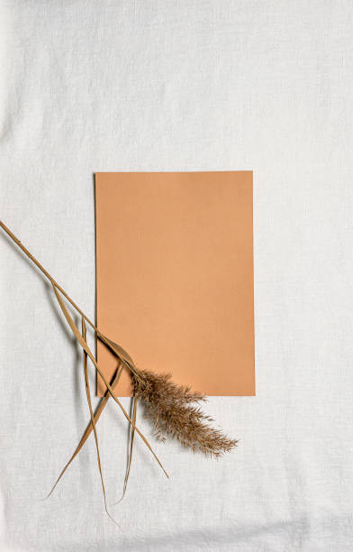 istock Paper sheet and dried natural reed flower on white linen 1299250845