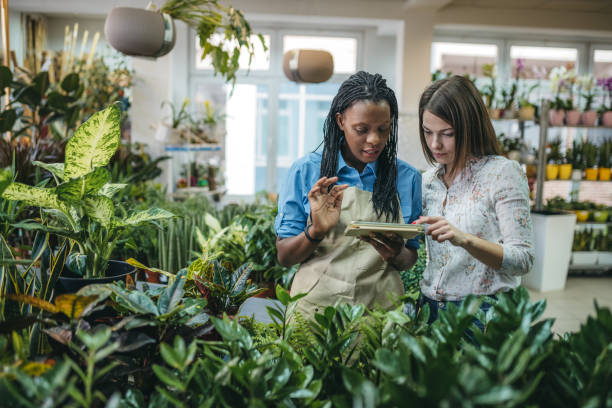 which flower pot to choose - plant nursery imagens e fotografias de stock