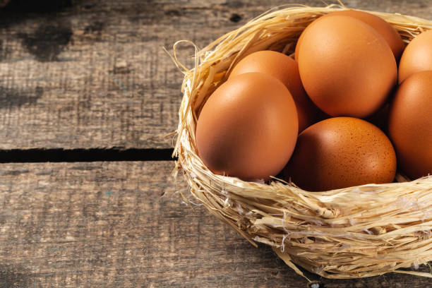 istock eggs in the hay nest on wooden table 1299253167