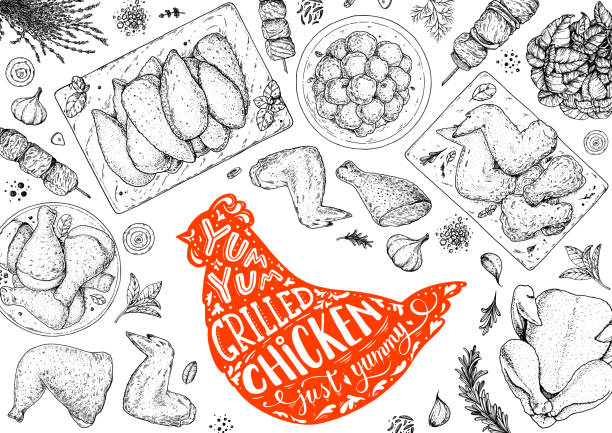 닭 고기. 구운 닭고기와 튀김. 손으로 그린 스케치 그림입니다. 구운 닭고기 고기 상단 보기 프레임. 벡터 그림입니다. 새겨진 디자인. 레스토랑 메뉴 디자인 템플릿입니다. - cooked chicken sketching roasted stock illustrations